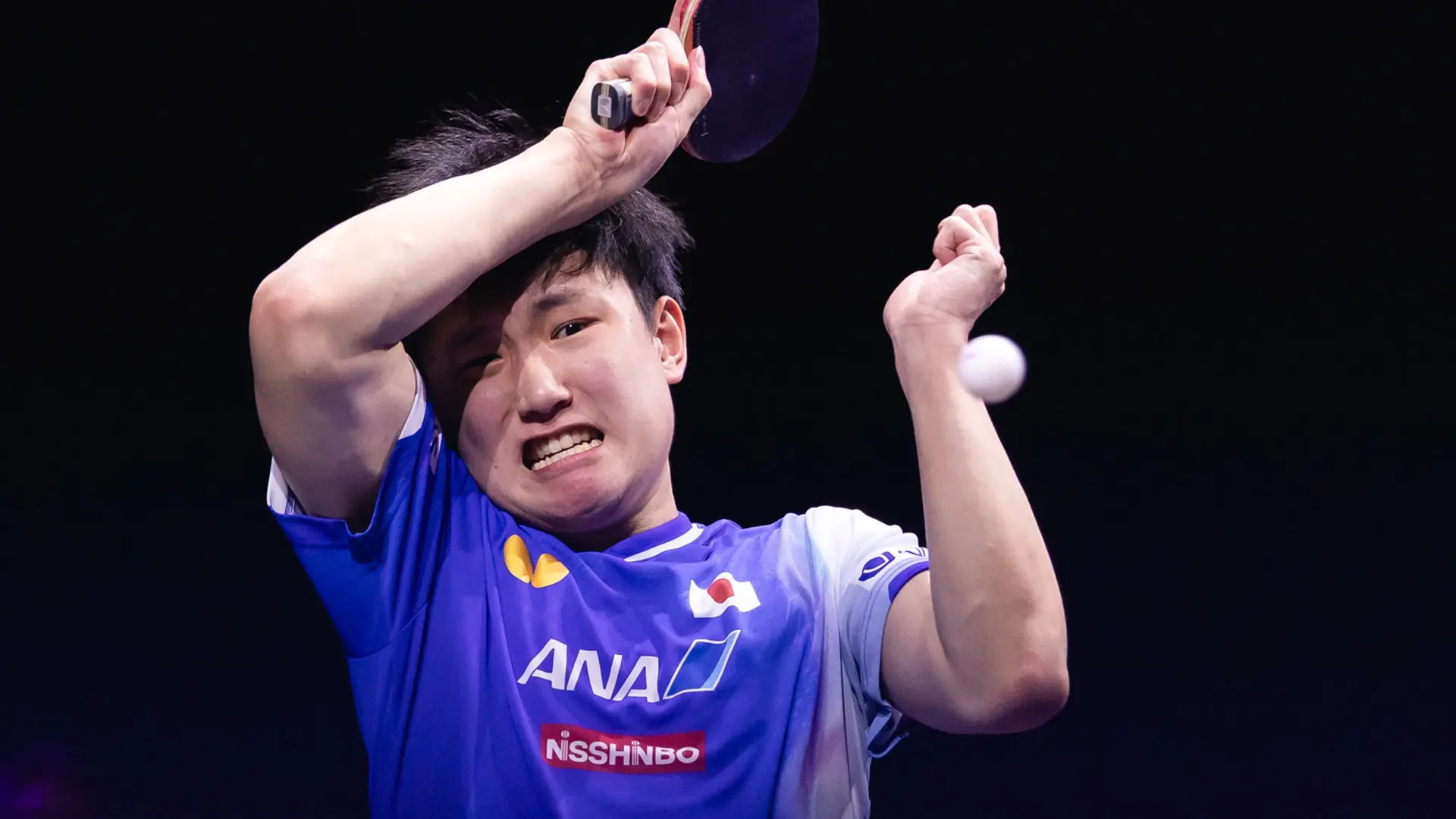 entit, 六冠得主, tenan