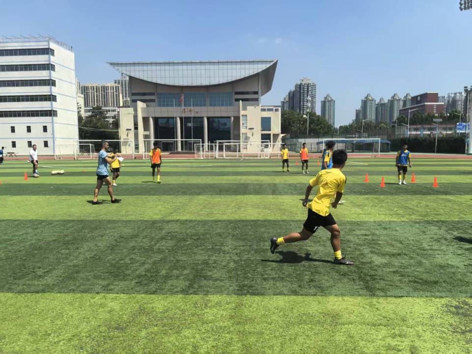 费尔南德斯, 河南省青少, 业教练和郑