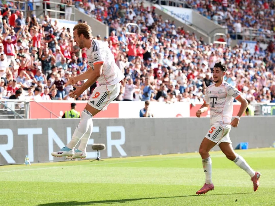 足以让尼科 足以让尼科