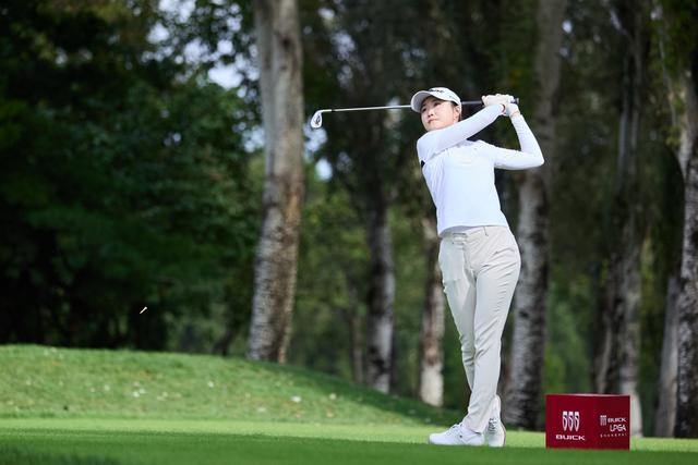 个柏忌, 个柏忌 个柏忌, 个柏忌