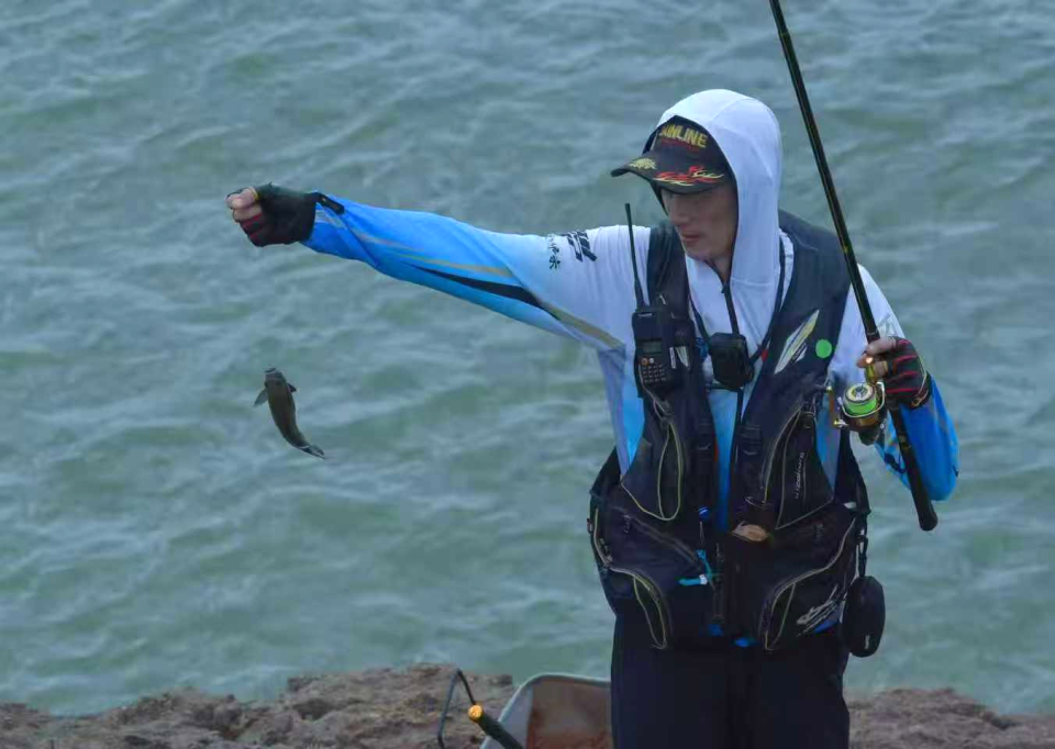 汇聚了来自 汇聚了来自