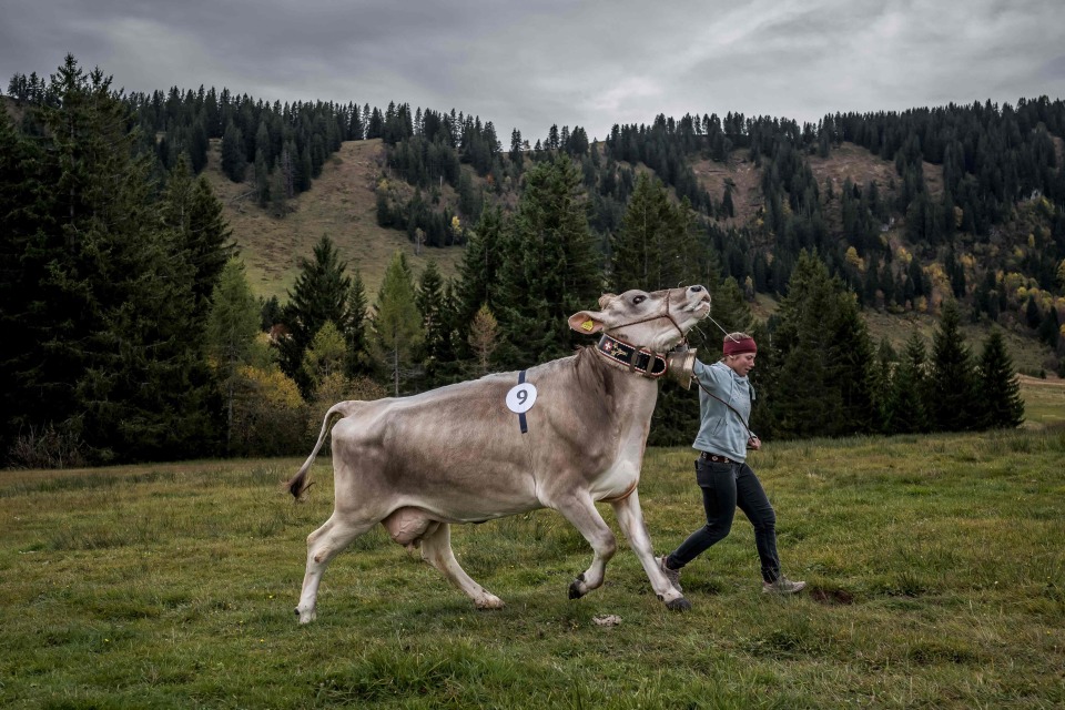 msLr, src, bt msLr, src, bt