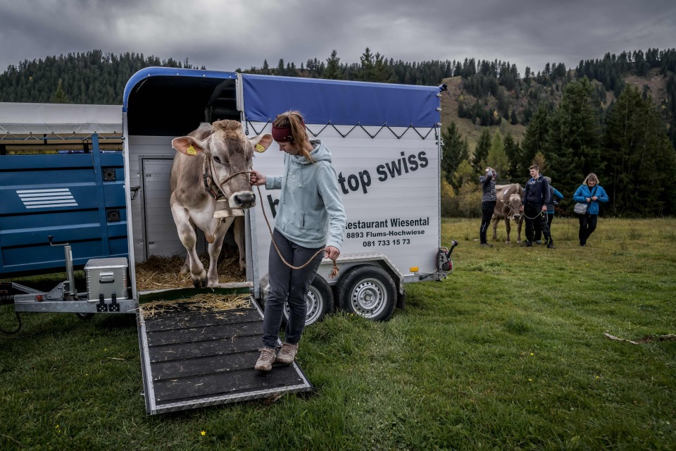 https, inews https, inews