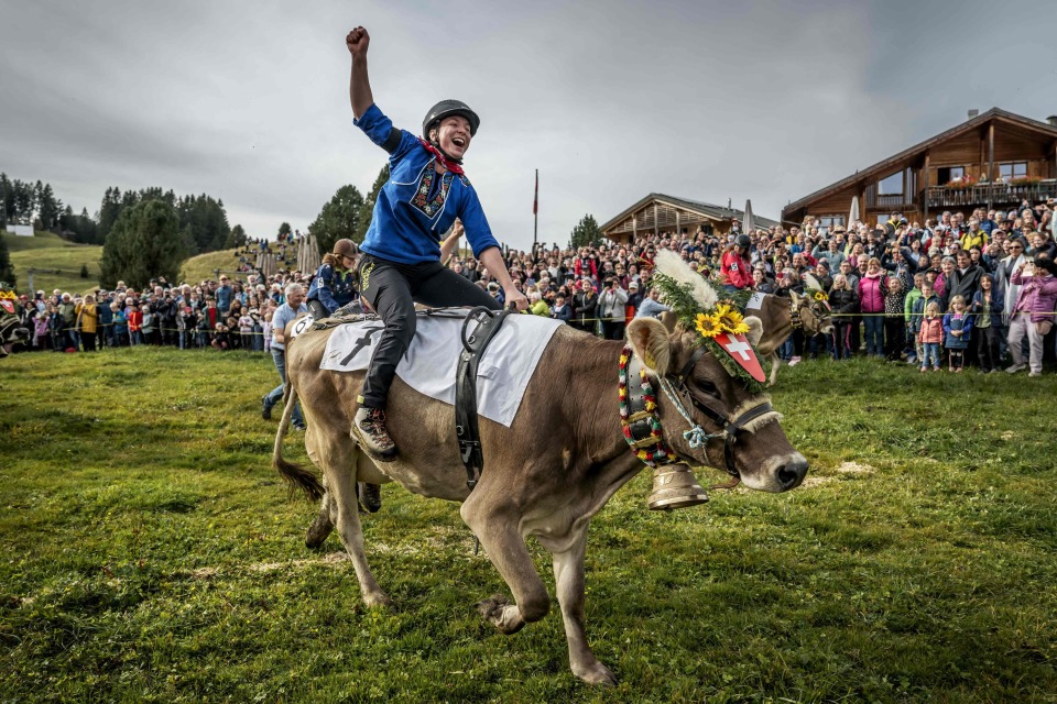 gtimg, inews gtimg, inews