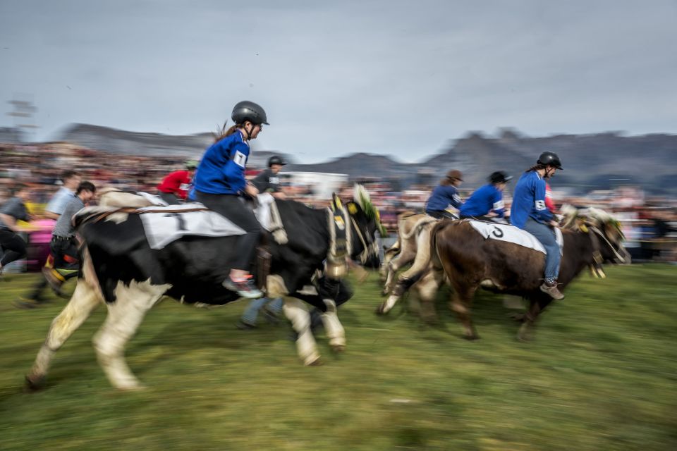 bt, ww, OAmoY bt, ww, OAmoY