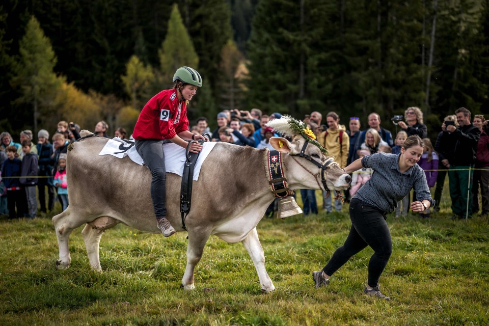 inews, AAA inews, AAA